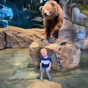 Meet your Posher, Brandon